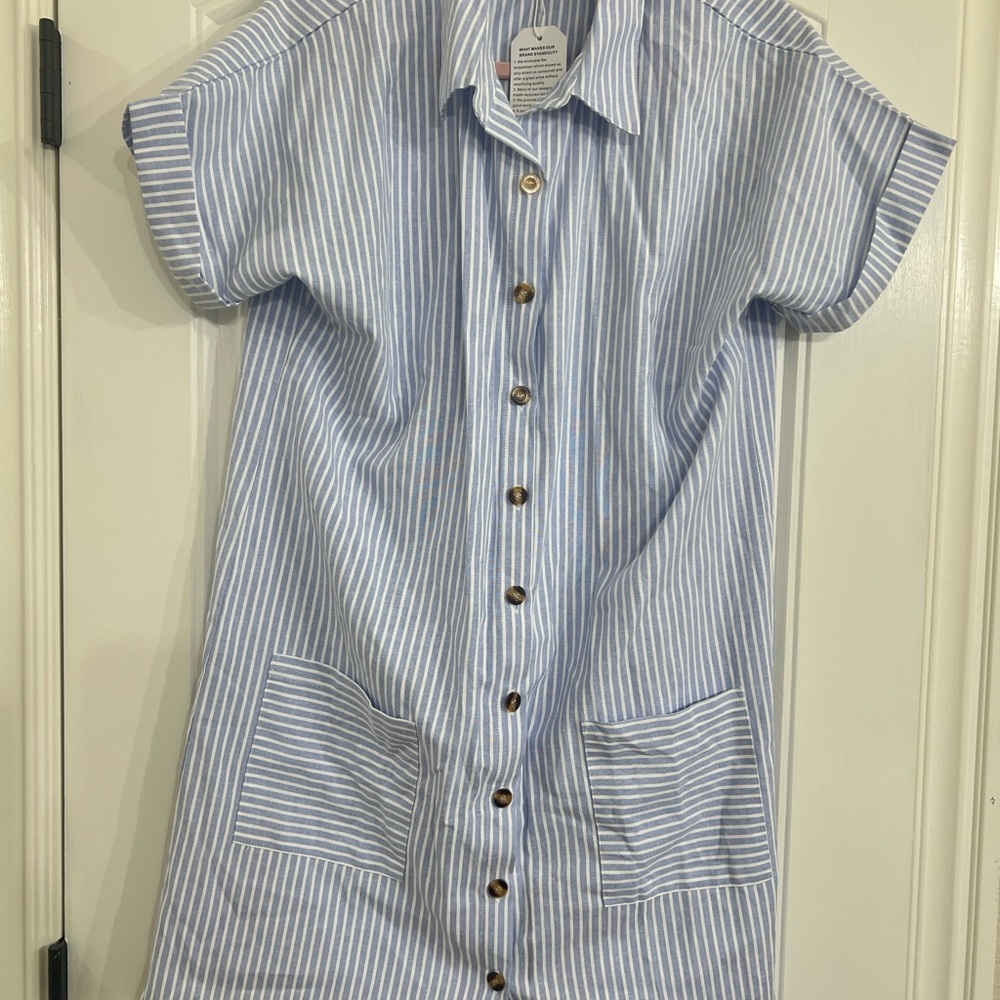 Blue and White Striped Button-Down Dress
